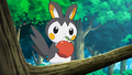 Emolga (sauvage ► d'Iris)