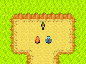 Petit Bois (3) PDMRB.png