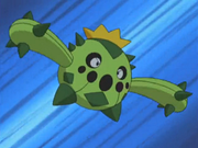 Cacnea(de James)