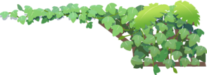 Amélioration Rideau de verdure-CM.png