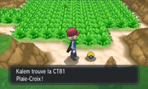 Baie Azur CT81 XY.png