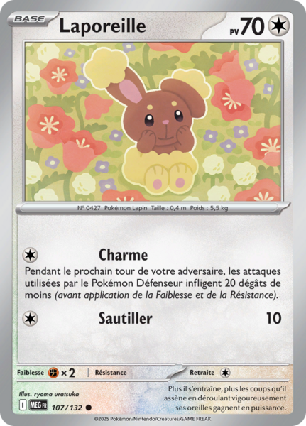 Fichier:Carte Méga-Évolution 107.png