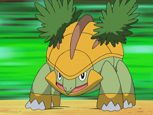 DP100 - Boskara de Sacha.png