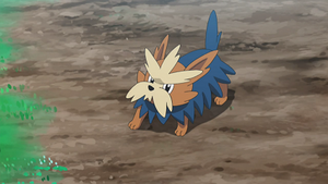 SL070 - Ponchien de la ferme de Kiawe.png