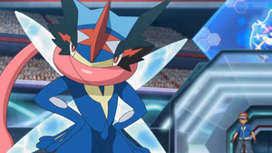 XY131 - Sachanobi.png