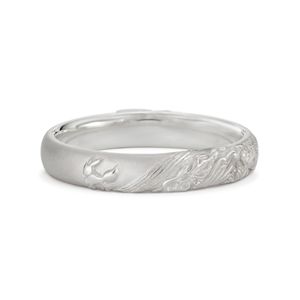 Alliance Homme Évolition Argent u-treasure.jpg