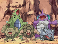 Gravalanch, Tyranocif, Grolem, Nidoking et Rhinocorne (des Complices du client)