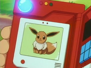 EP040 - Évoli Pokédex.png