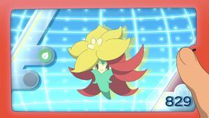 LV122 - Tournicoton Pokédex.png