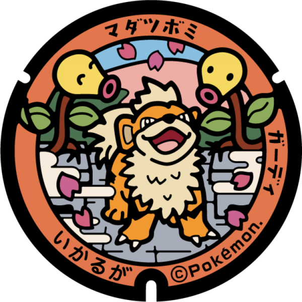 Fichier:Poké Lid 149 Ikaruga.png