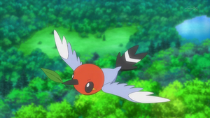 XY040 - Passerouge d'un Dresseur.png