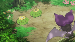 XY089 - Floravol.png