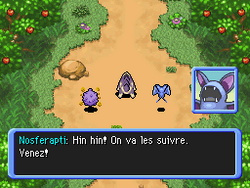 L'équipe Crâne est en embuscade.