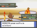 Un Pokémon qui souffre de sa brûlure dans la quatrième génération.