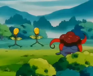 EP178 - Chétiflor et Ortide.png