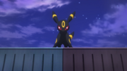 Noctali(de Spinel)