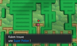 Palais Chaydeuvre Super Potion XY.png