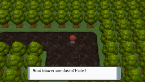 Route 212 Huile DEPS.png