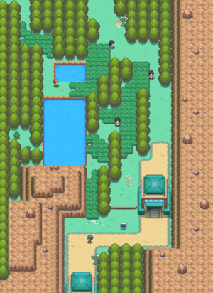 Pokémons sauvages 300px-Route_43_HGSS