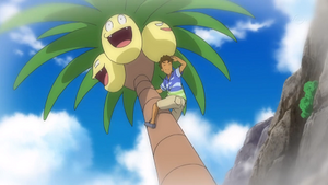 SL103 - Noadkoko d'Alola (Flash-back).png