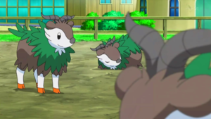 XY053 - Cabriolaine.png