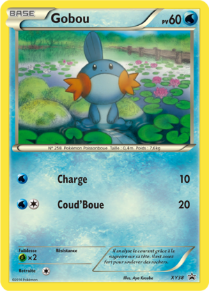 Carte Promo XY XY38.png