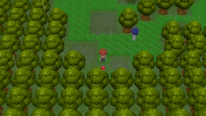 Route 212 Antidote DEPS.png