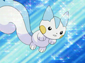 Pachirisu (d'Aurore)