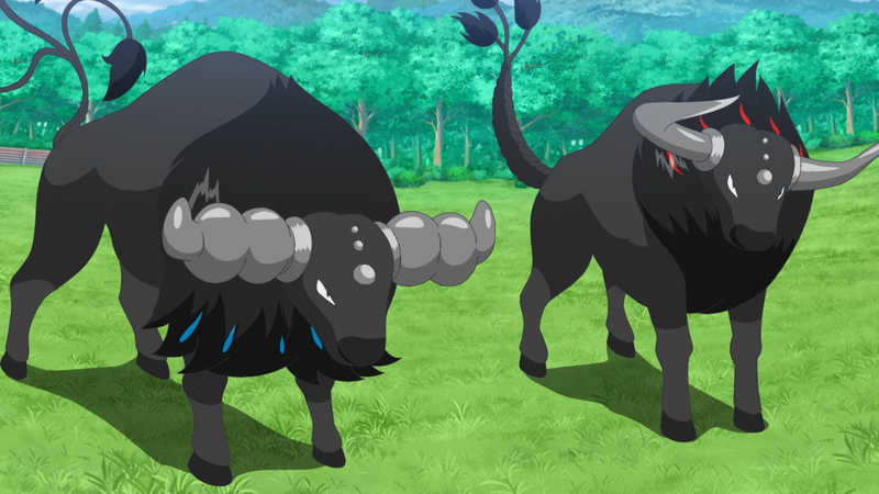 Fichier:LH099 - Tauros de Paldea.png