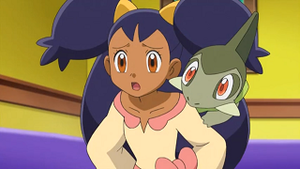 NB035 - Coupenotte d'Iris.png