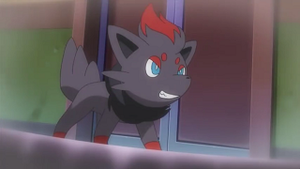 NB038 - Zorua (Flash-back).png