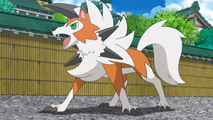 SL117 - Lougaroc de Sacha.png