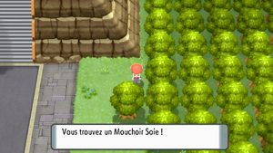 Voilaroc Mouchoir Soie DEPS.png
