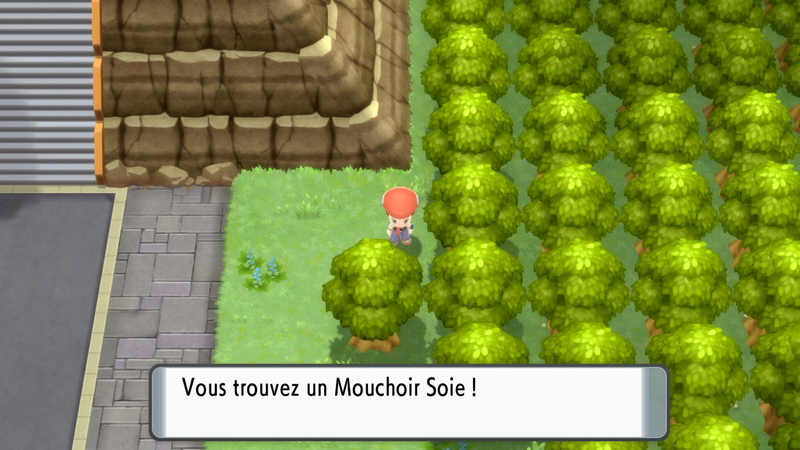 Fichier:Voilaroc Mouchoir Soie DEPS.png
