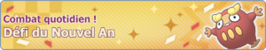 Bannière Défi du Nouvel An PM.png