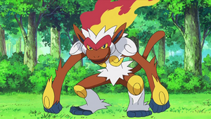 DP180 - Simiabraz de Sacha.png