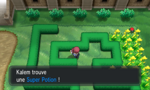 Route 4 Super Potion Cachée.png