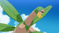 Tropius (de la Team Rocket)