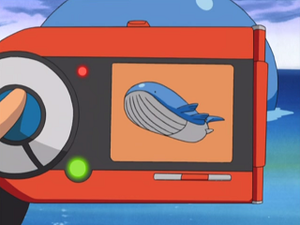 AG124 - Wailord Pokédex.png