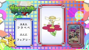 JP - QECP XY27.png
