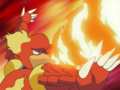 Magmar (de Paul)