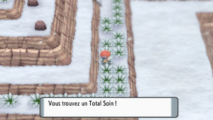 Mont Couronné Total Soin DEPS.png