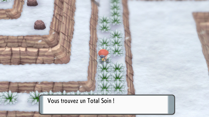 Fichier:Mont Couronné Total Soin DEPS.png