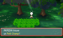 Bois Clémenti Petit Champi 1 ROSA.png