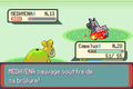 Un Pokémon qui souffre de sa brûlure dans la troisième génération.