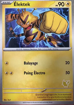 Élektek (Mon premier combat Pikachu)