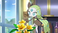 Meloetta Forme Chant (sauvage)