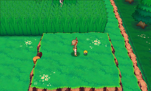 Parc Safari CT93 ROSA.png