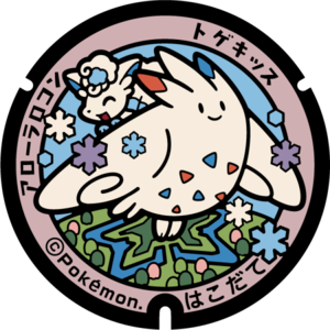 Poké Lid 187 Hakodate.png