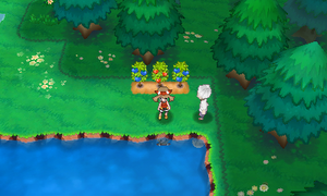 Route 104 Baies 3 ROSA.png